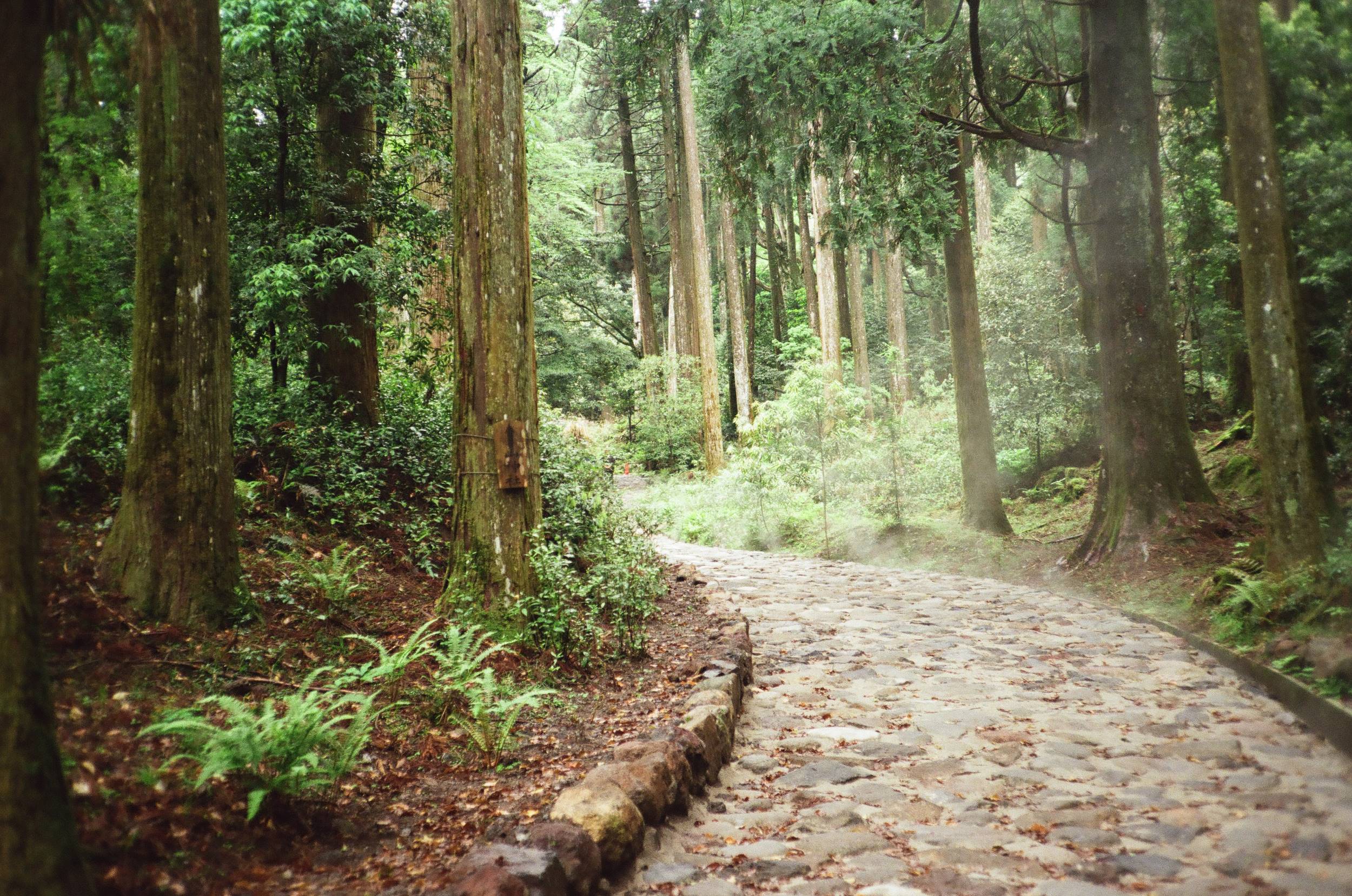Nature