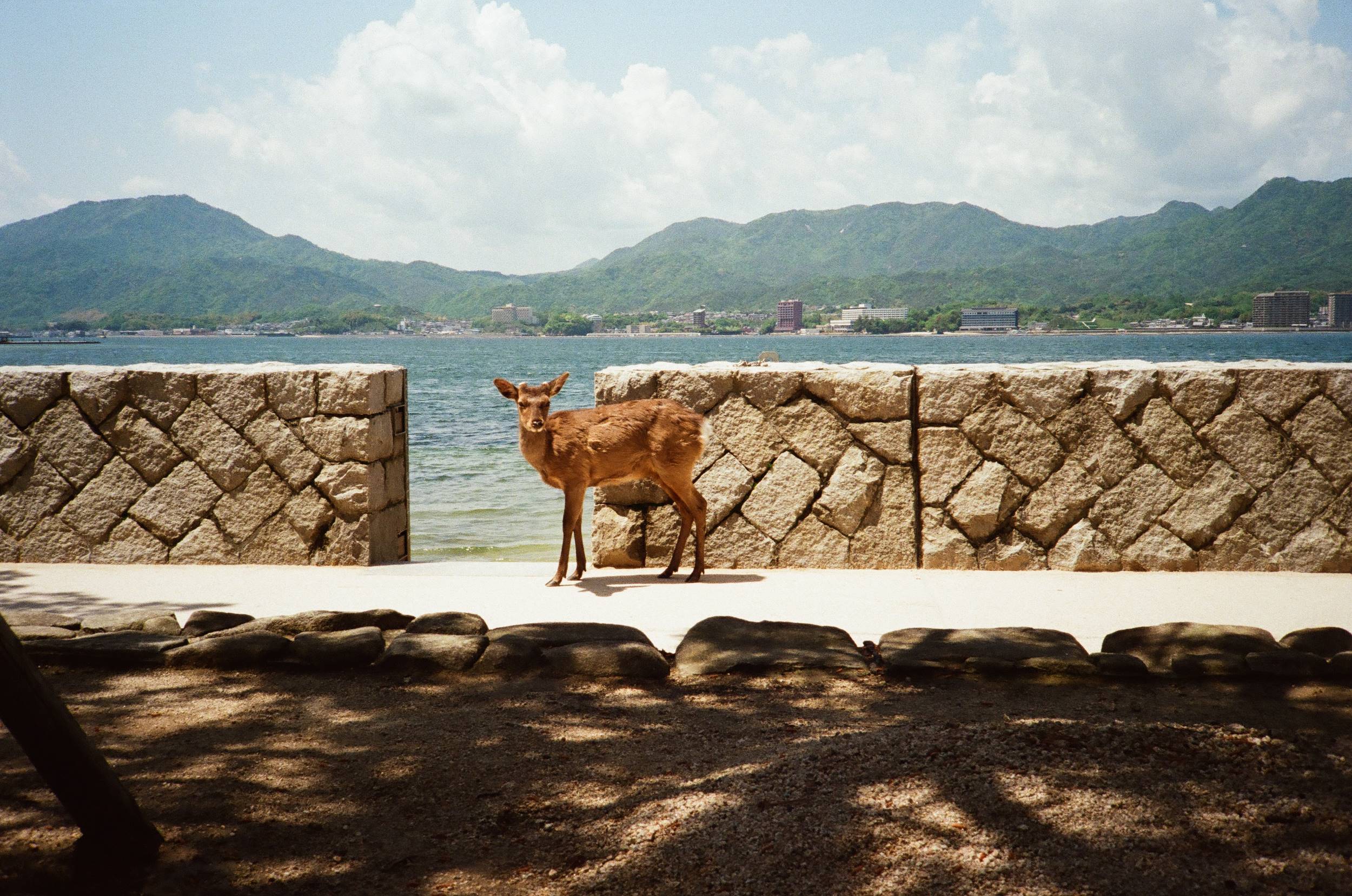 Sea side