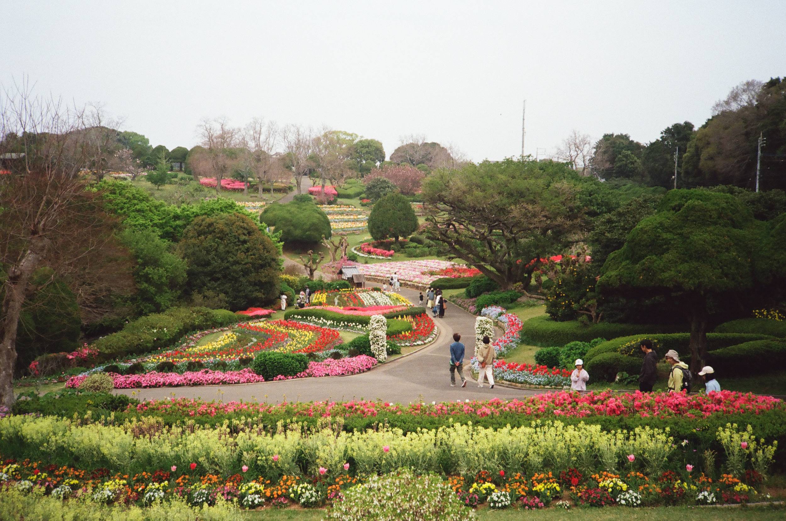 Miniature 8